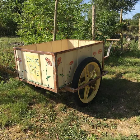 In Loire Near Castles And Nature *