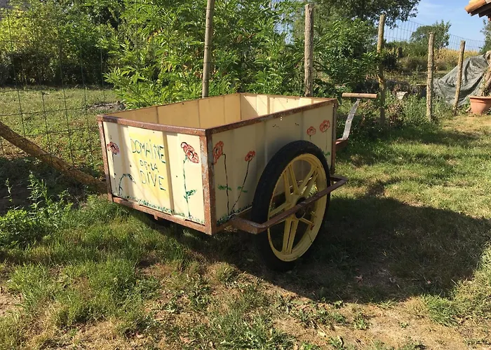 In Loire Near Castles And Nature *